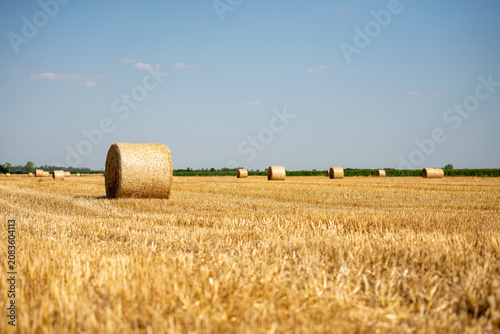 Photos Bales of hay in a field in Bekes, Hungary during a sunny day with clear blue sky