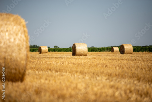 Tableau sur toile Bales of hay in a field in Bekes, Hungary during a sunny day with clear blue sky