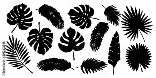 Canvas Print Tropical leaf silhouettes on a white background black ink style