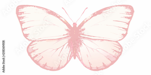 delicate pink butterfly illustration insect winged creature