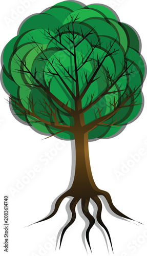 Green Tree with Visible Roots and Bare Branches Inside Canopy Vector Illustration