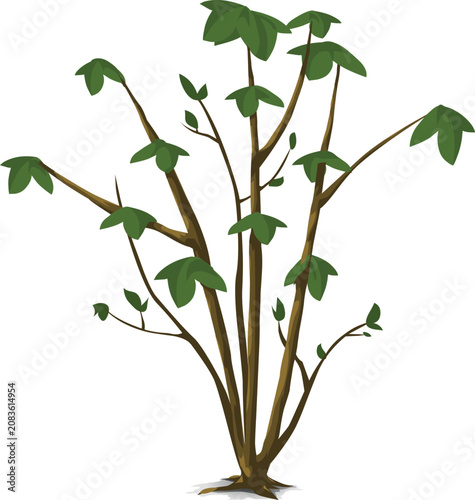 Green Leafy Shrub Plant with Brown Stems and Branches Vector Illustration