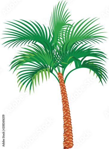 Tropical Green Palm Tree with Lush Leaves and Brown Trunk Vector Illustration