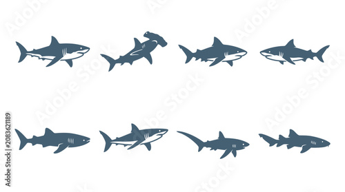 Canvastavla Grey shark silhouettes featuring different predatory fish species