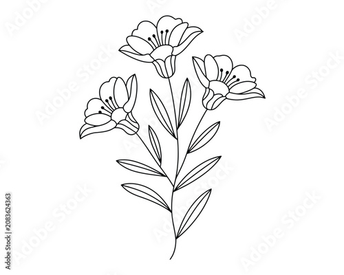 Simple line drawing of three flowers on a stem