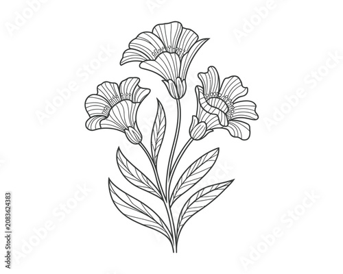 Elegant line art flower illustration with leaves
