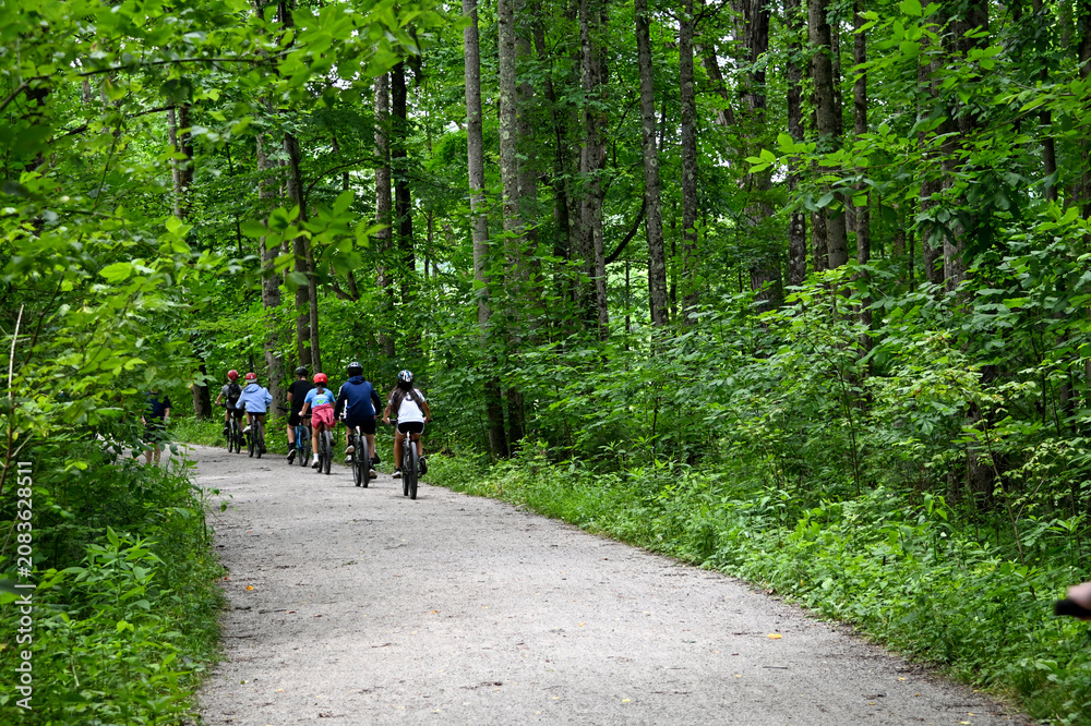 Fototapeta premium people in a single file line biking on a bike trail with green forest trees around
