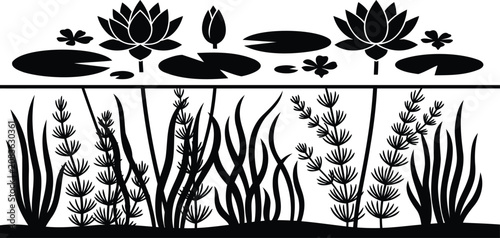 Black silhouette of lotus flowers and underwater pond plants
