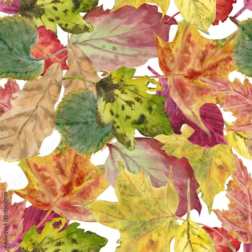 A seamless pattern of red, purple, orange, yellow, and green autumn leaves , hand-painted in watercolor on an isolated background. Simple, vibrant autumn botanical clip art for decorating