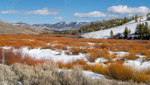 Vászonkép Winter scenery in Colorado Rocky Mountains near Cameron Pass