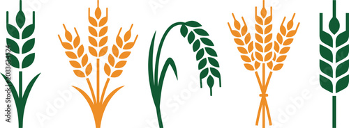 Photos Five wheat stalks with golden and green grains