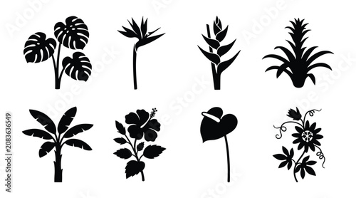 Foto Tropical Plant and Flower Silhouette Set, Botanical Vector Icons Isolated on Whi