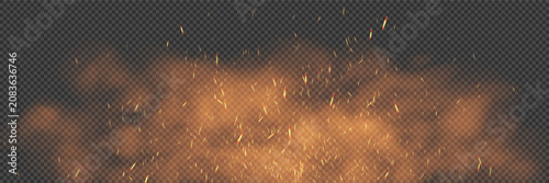 Obraz na plátně A bg with transparent smoke illuminated by fire and flying or falling sparks