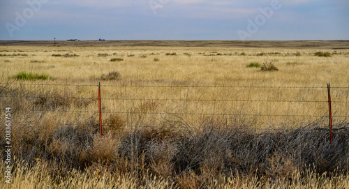 Arid grassland landscape characteristic of the Great Plains region of North America, Oklahoma, USA