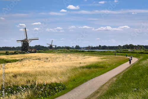Photos Cyclists on a rural bike path past iconic Dutch windmills and golden summer fiel