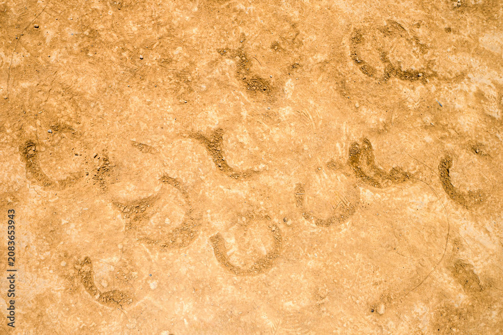 Obraz premium Horse hoof prints and loose horse hair left on the packed earth of Piazza del Campo after the historic Palio horse race in Siena, Italy. 
