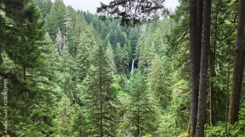A beautiful waterfall flows out of an extensive forest in Oregon. The scenic Pacific Northwest is known for its many rivers, vast forests, and iconic mountains. 
