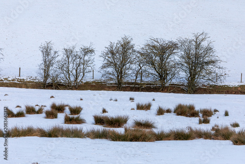 Snow landscape on permanent pasture, North Yorkshire, England, United Kingdom