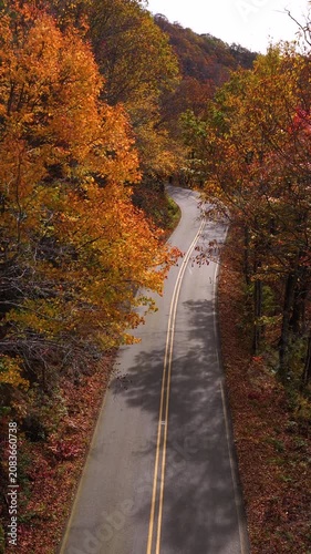 Empty scenic road winding through the Appalachian Mountains in North Carolina during peak autumn. Brilliant red, orange and golden forest surrounds the peaceful landscape.