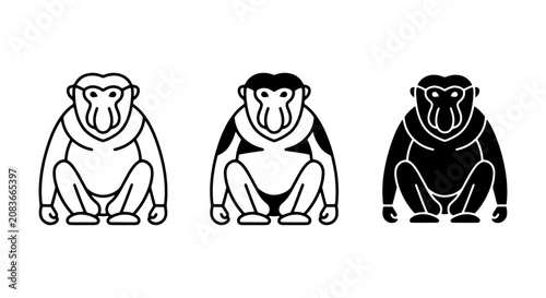Photography Baboon Icons Set, Primate Vector Graphics, Three Styles: Outline, Filled, Silhou