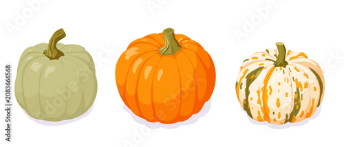 Canvastavla Isometric pumpkin trio with green orange and speckled gourds for autumn harvest