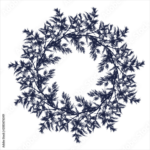 Obraz na plátně Hand drawn dill wreath frame with delicate feathery foliage forming a circular border