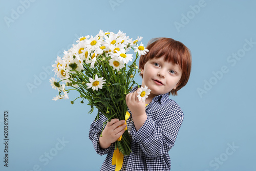 Little boy with bouquet of beautiful chamomile flowers on light blue background
