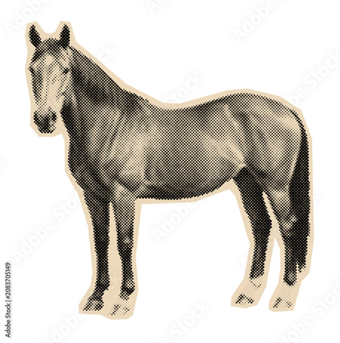 Obraz na plátne Standing horse illustration in a vintage black and white halftone style, a class