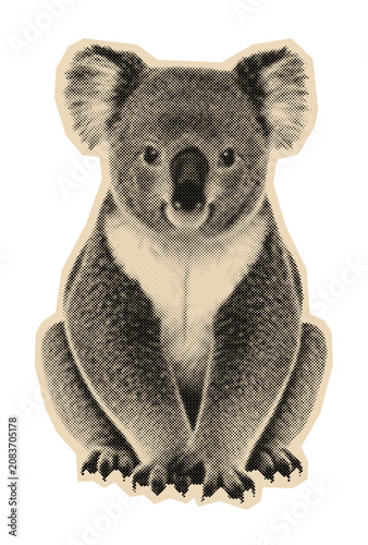 Photography Koala bear illustration in a classic vintage halftone style, depicting the iconi
