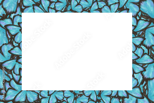 Elegant blue butterfly frame with large rectangular copy space surrounded by delicate wings. Decorative nature background for greeting cards, invitations, banners, posters and branding