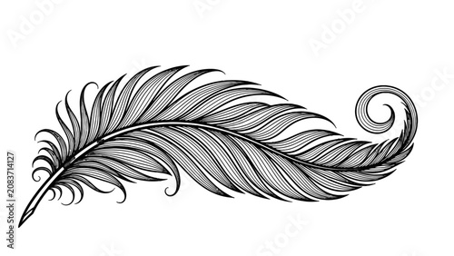 Ornate Black and White Feather with Intricate Swirling Patterns, isolated white background