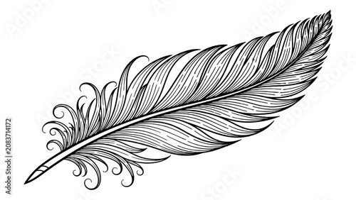 Elegant Feather Outline Illustration, Hand Drawn Bird Plumage on Isolated White Background.