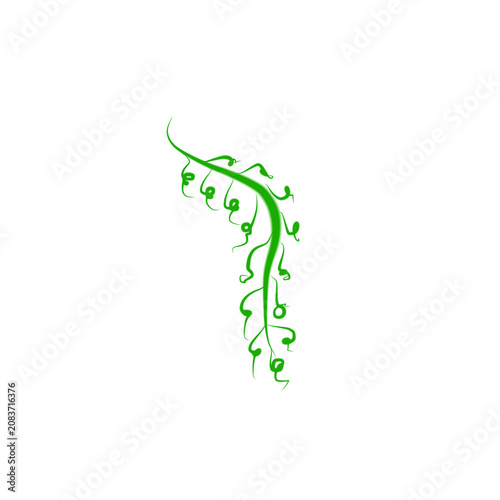 Foto green tendril