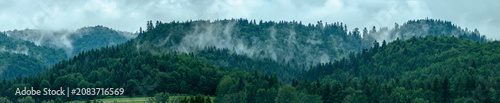 Fotografi Landscape with dense forests and rolling hills partially shrouded in soft, ethereal fog