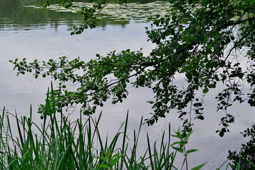Cybina River Valley, view of the river on a spring day