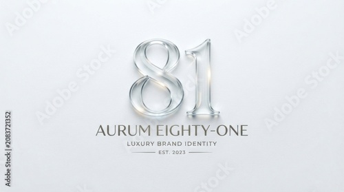 logo 81