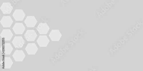 Abstract gray vector background with minimal geometric hexagon pattern