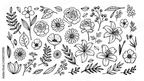 Hand-Drawn Doodle Style Black Outline Floral Elements Collection, Isolated White Background, Botanical Design