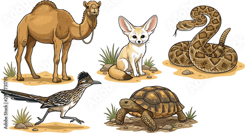 Tableau sur toile Desert animals vector illustration set featuring dromedary camel, fennec fox, ra