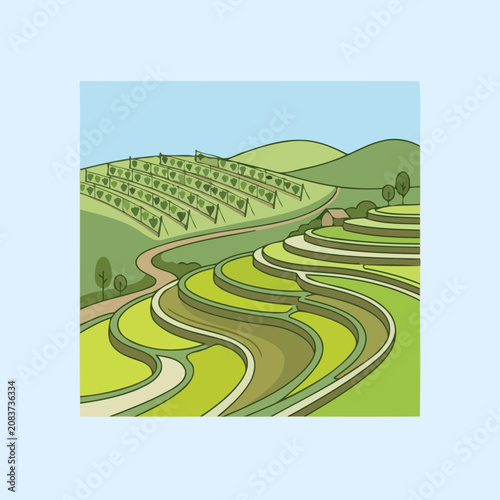 Green terraced rice fields and vineyard on hills