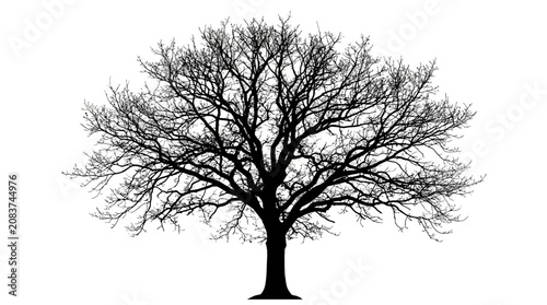 Photos Cad tree line Bare tree, black silhouette, winter tree, leafless tree, tree icon