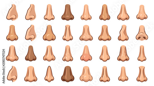 Tableau sur toile Diverse Collection of Human Noses in Various Skin Tones