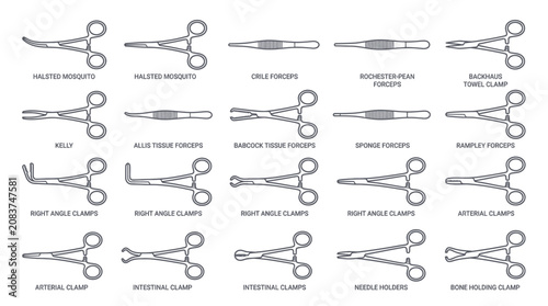 Fotografie Medical Surgical Instruments Collection: Forceps, Clamps, Needle Holders - Line