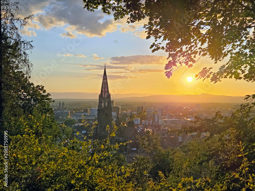 Looking over Freiburg im Breisgau in Germany at sunset through trees from black forest