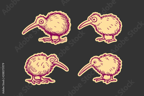 Tableau sur toile Kiwi bird set featuring hand drawn vector illustrations of cute fluffy flightles