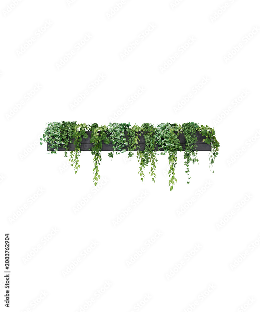 Fototapeta premium green grass isolated on white