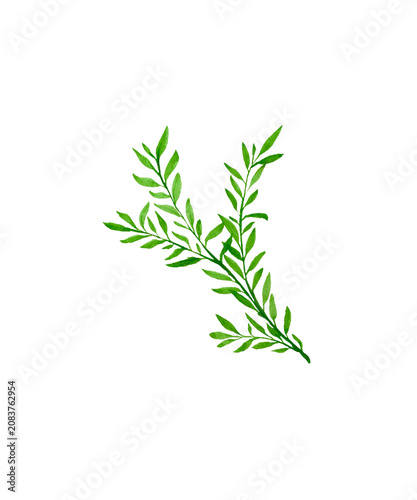 bunch of rosemary