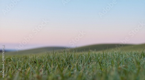 Green grass blades with dew drops at sunrise. Rolling hills visible against soft pastel sky colors. Nature scene in early morning light. Freshness and tranquility theme.