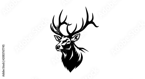 Fotografie Deer Head with Large Antlers.