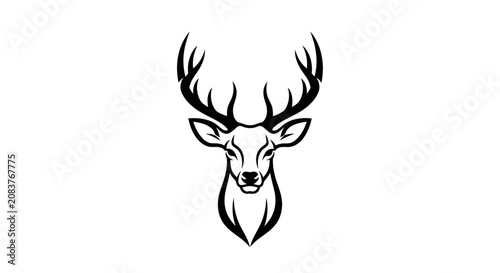 Bild auf Leinwand Deer Head with Large Antlers.